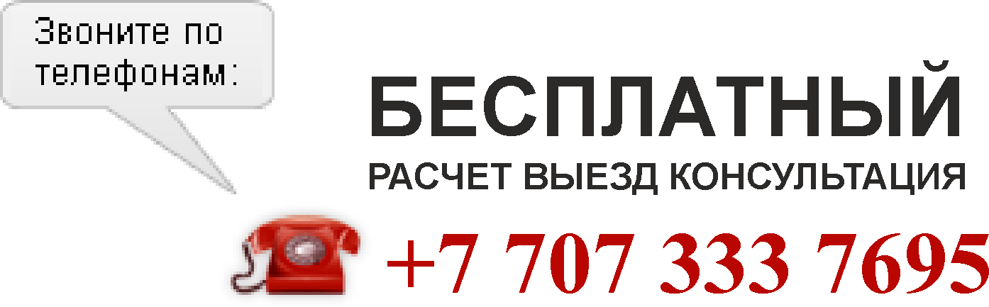 : +7 707 333 7695 